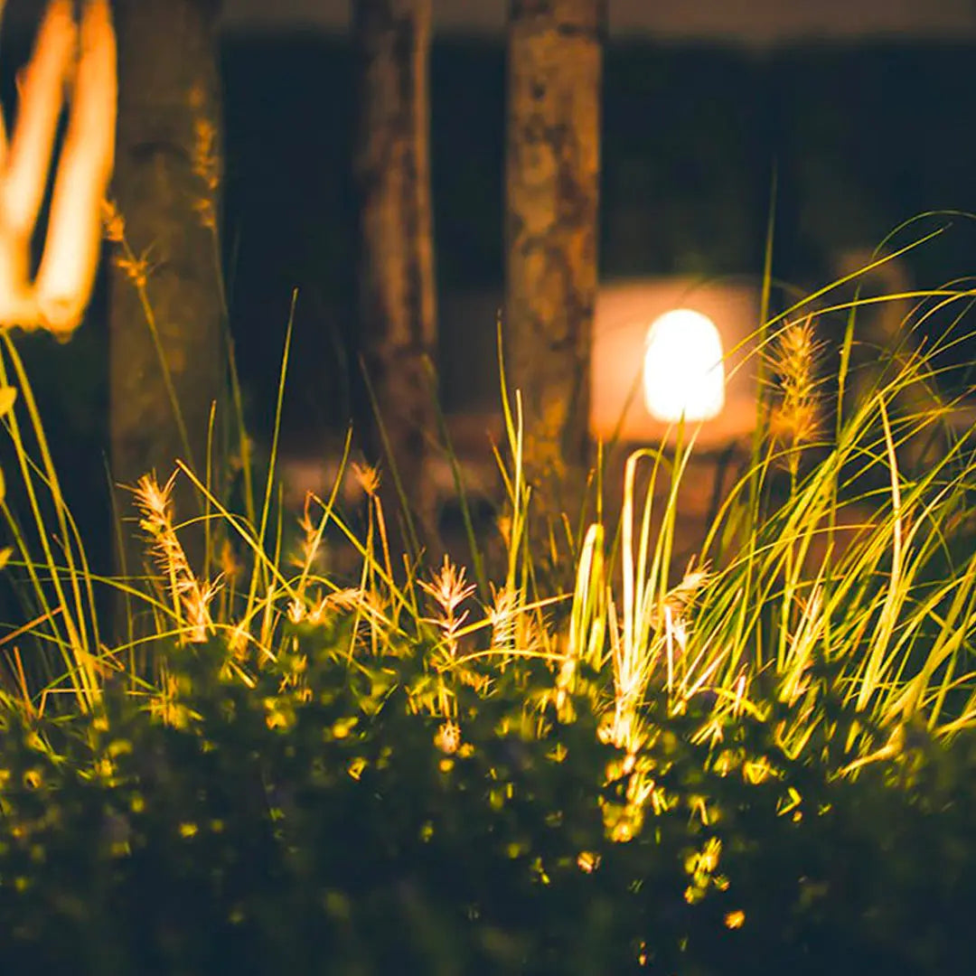 Éclairage LED pour jardin