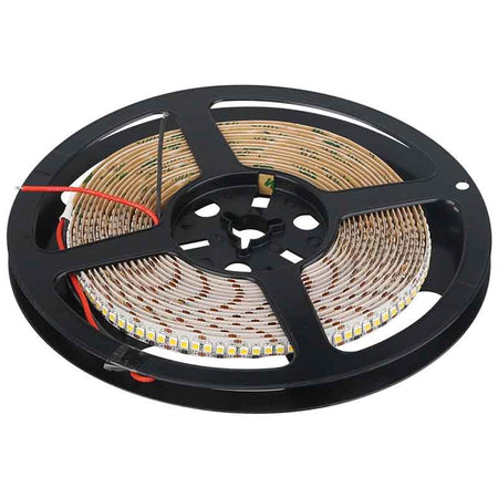 Ruban LED 5 m – 19,2 W, 24 V, largeur 10 mm – vue 3