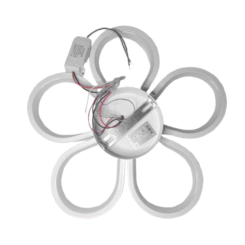 Plafonnier LED KAZABLOOM – intérieur, 20 W – vue 2